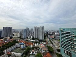 Sturdee Residences (D8), Condominium #594494201